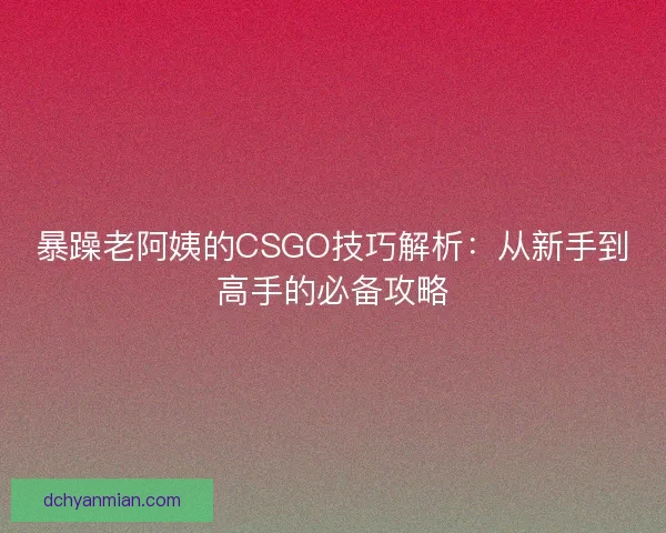 暴躁老阿姨的CSGO技巧解析：从新手到高手的必备攻略