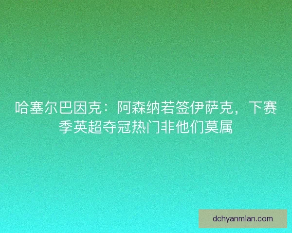 哈塞尔巴因克：阿森纳若签伊萨克，下赛季英超夺冠热门非他们莫属